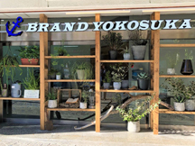 神奈川県　横須賀で金、プラチナ、高価買取のブランド横須賀　横須賀中央店